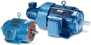 Leeson Inverter Rated Motors